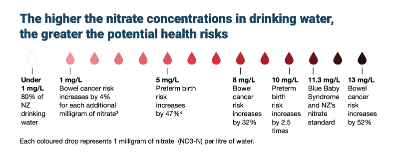 Why Is High Nitrate in Water Bad