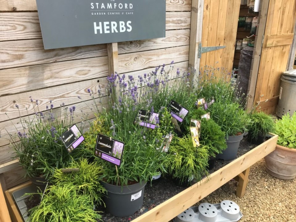 Stamford Garden Centre Casterton Rd Stamford Pe9 4Bb