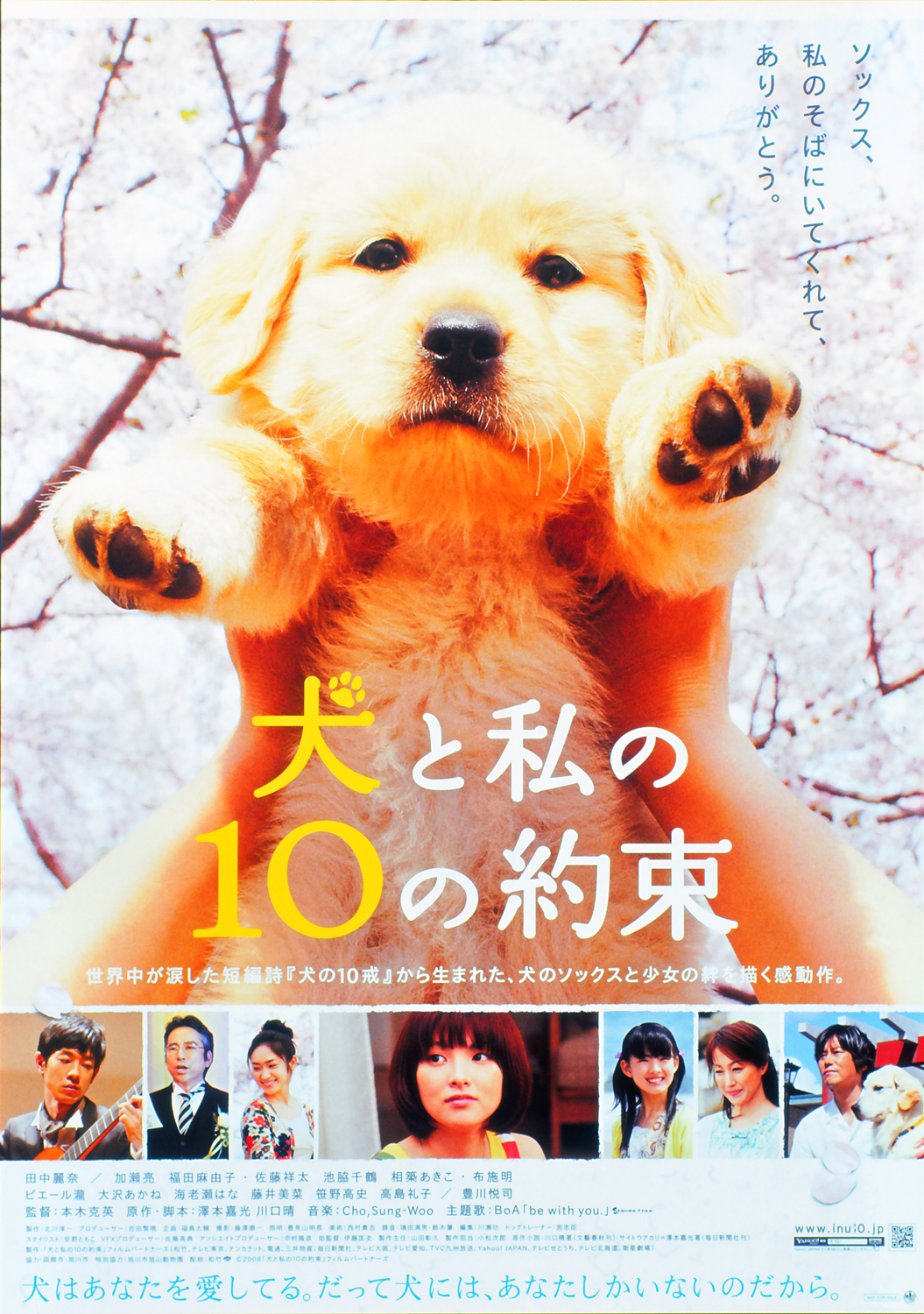 映画『犬と私の10の約束』号泣の理由と犬の十戒｜キャストの現在