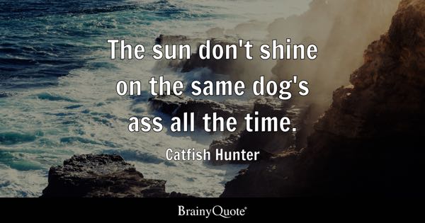 Even the Sun Shines on a Dogs