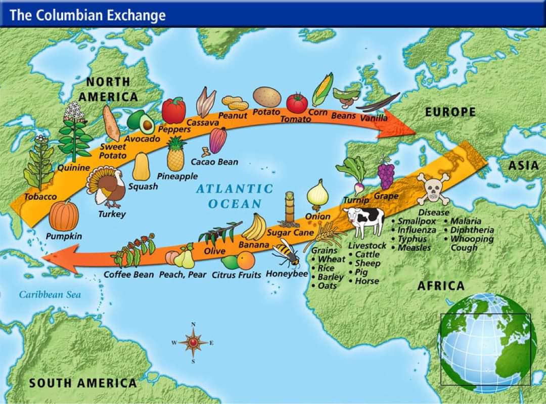 What Were the Consequences of the Columbian Exchange