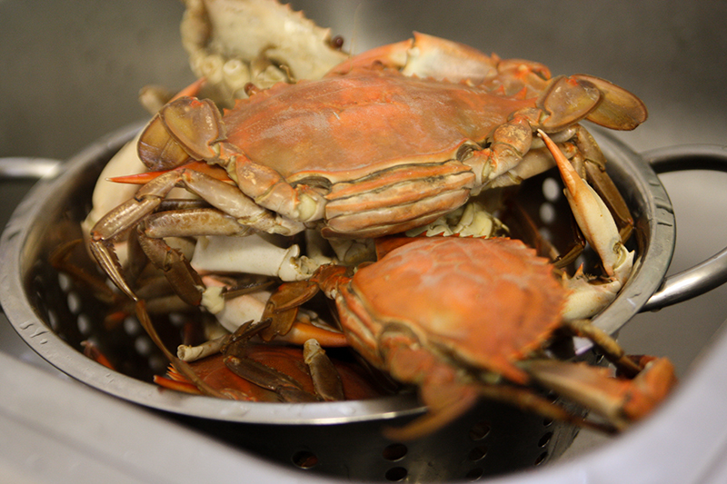 How to Cook Live Crab