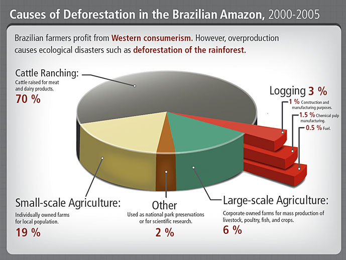 Causes of Deforestation of the Brazilian Amazon