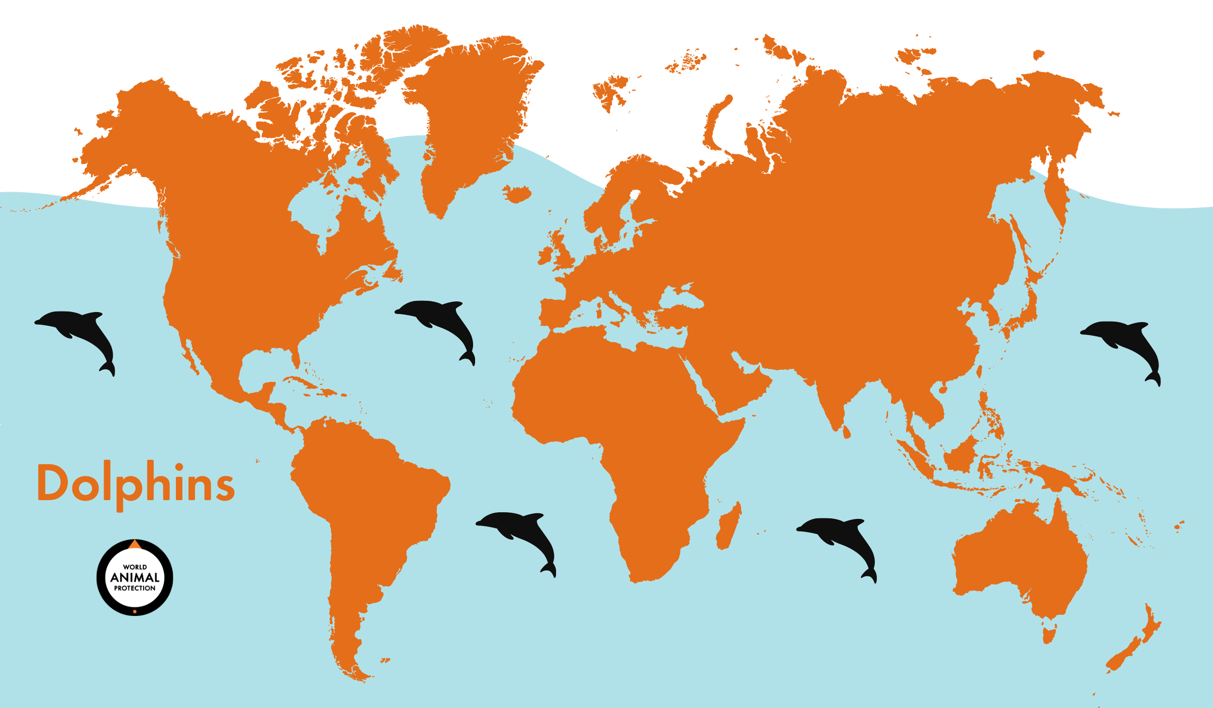 Where Do Dolphins Live in the Ocean