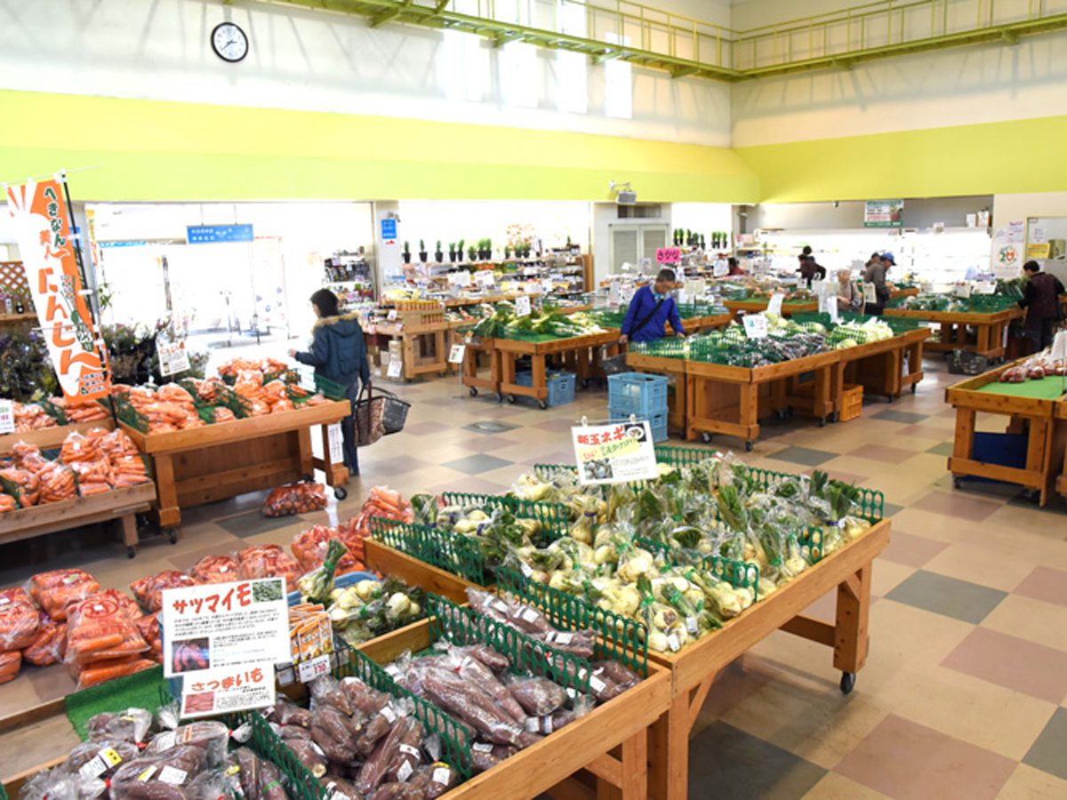 碧南市あおいパークの魅力徹底解剖！収穫体験と産直市の混雑回避術