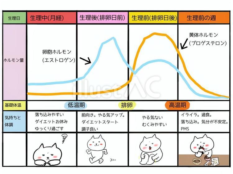 【真相】 生理 後 体調 不良 話題のSns投稿まとめ 2026 #931
