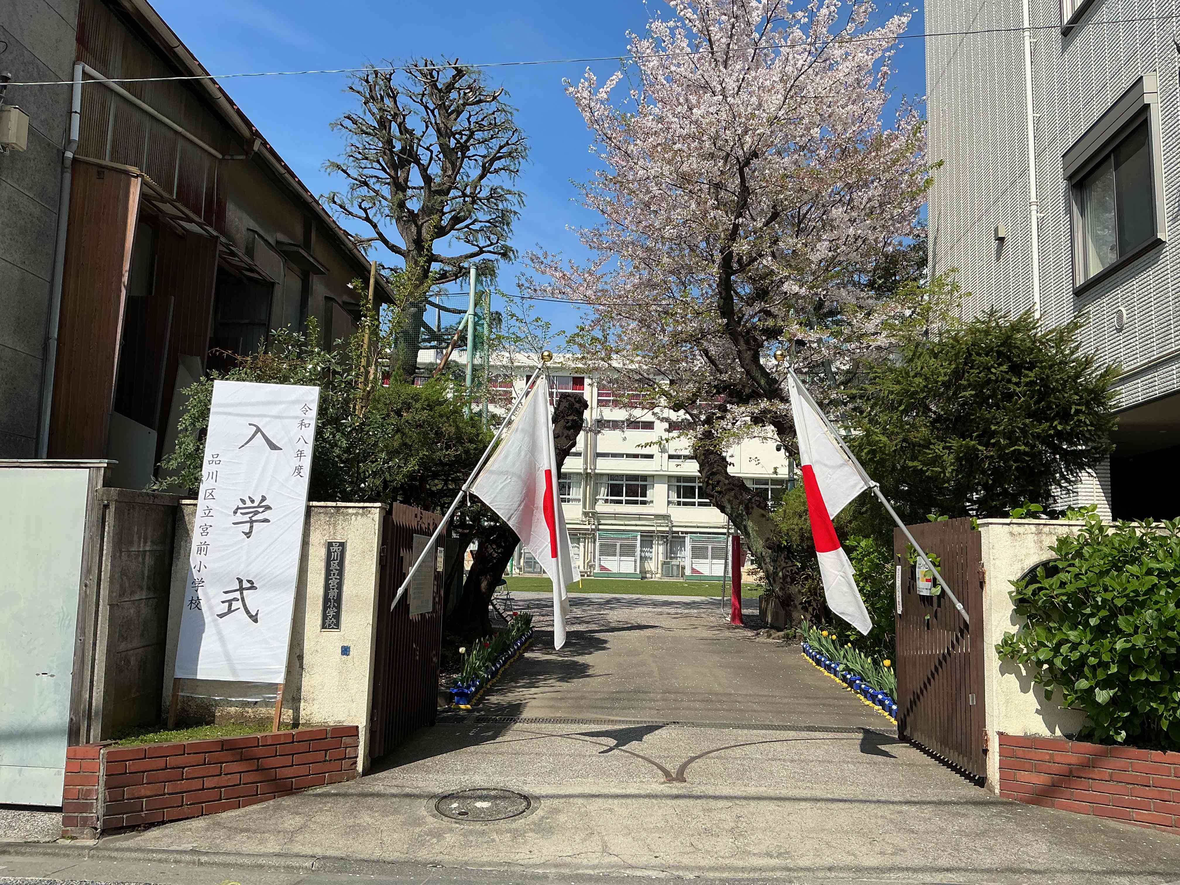品川区立宮前小学校の評判は？中学受験率とオープン教室の実態を徹底検証