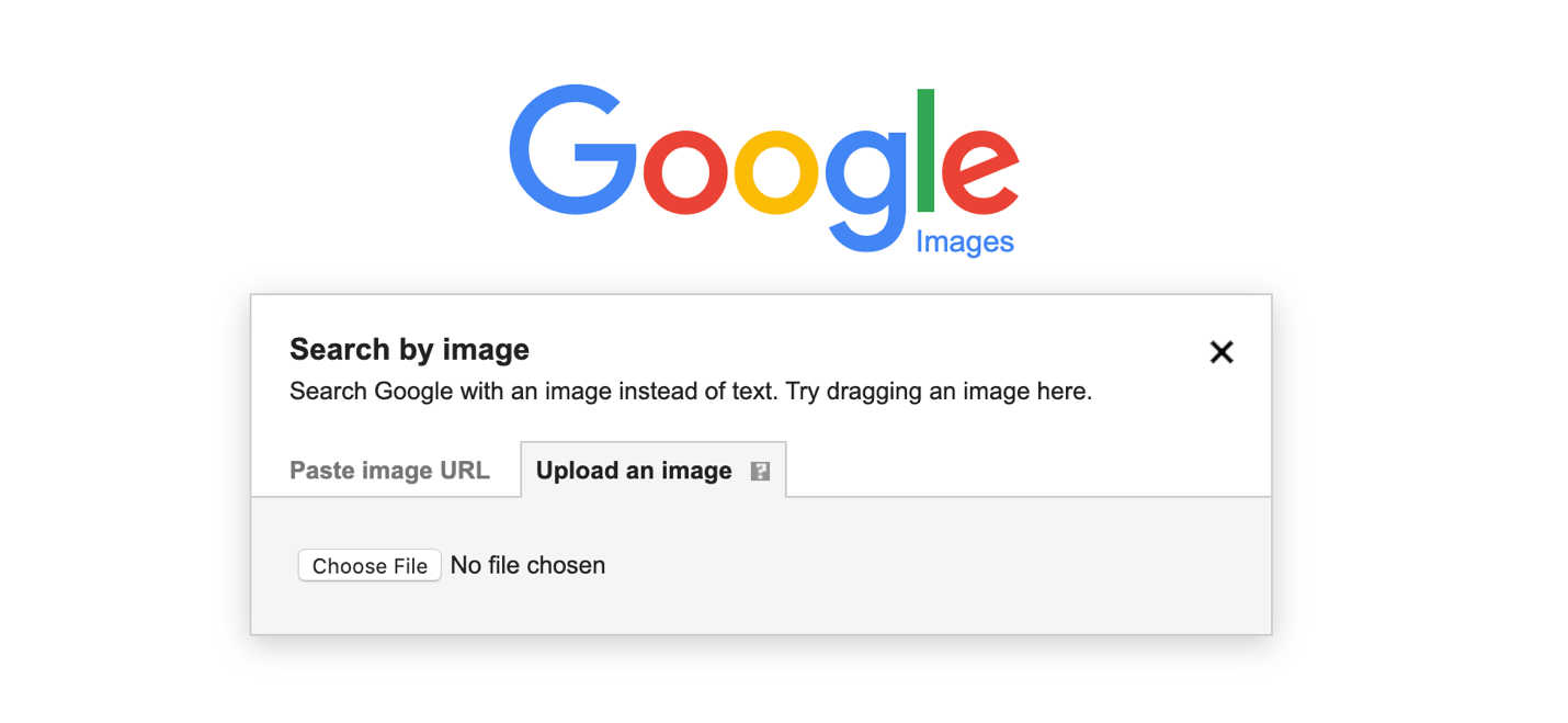 Search by Image Google