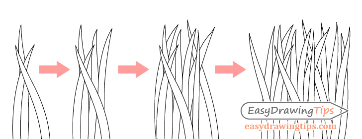 How to Draw a Grass Step by Step