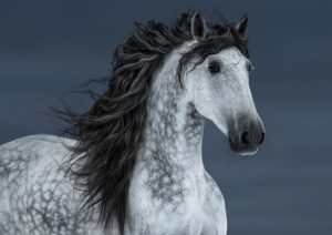 【動画まとめ】 プライム パークス 品川 シーサイド ザ タワー 最新画像・動画まとめ #827