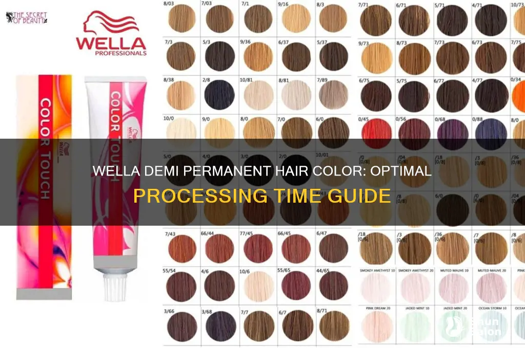 How Long to Leave Demi Permanent Color On