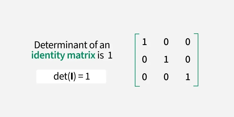 Determinant Identity Matrix