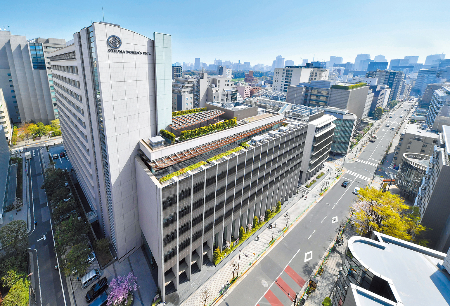 東京家政大学の偏差値完全ガイド！学部別難易度と狙い目の穴場