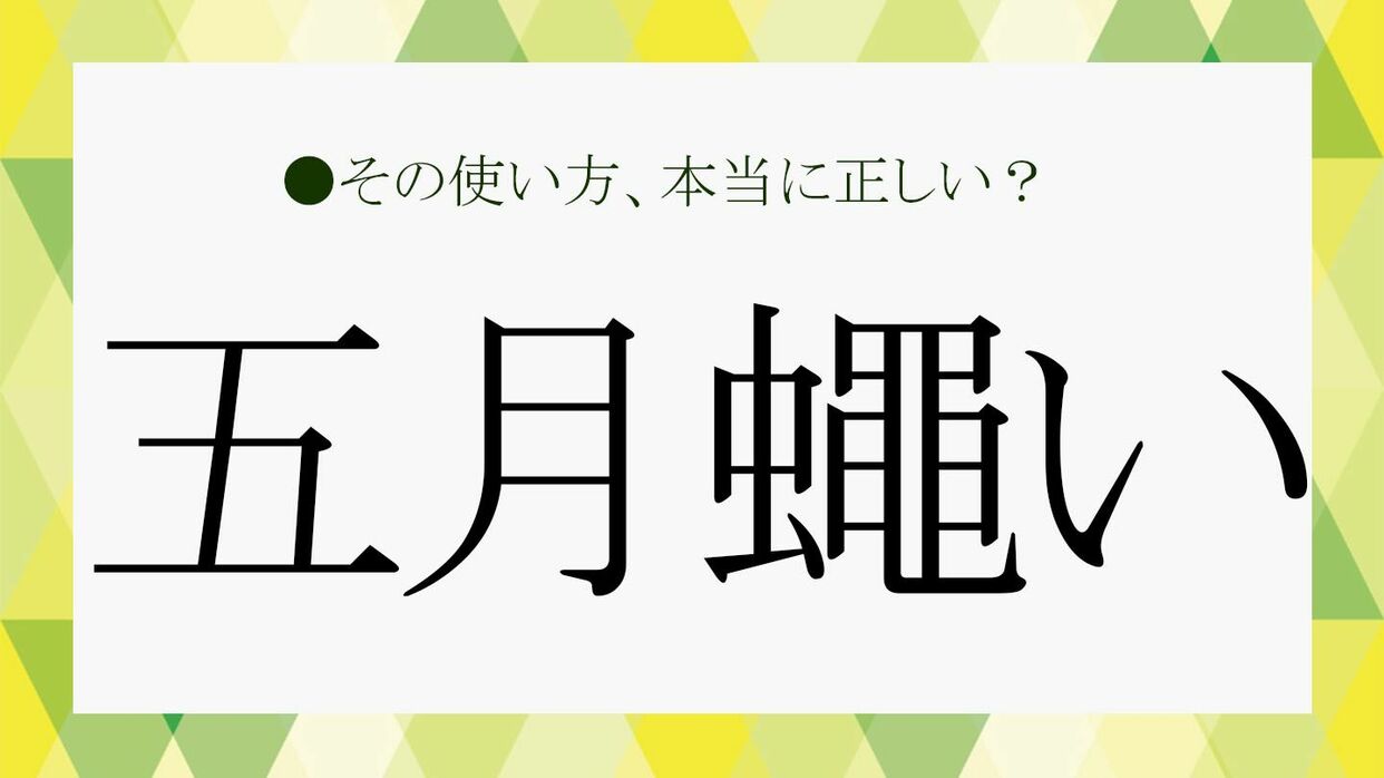 「うるさい」の漢字はどれ？煩い・五月蝿い・喧しいの使い分けと由来を徹底解説