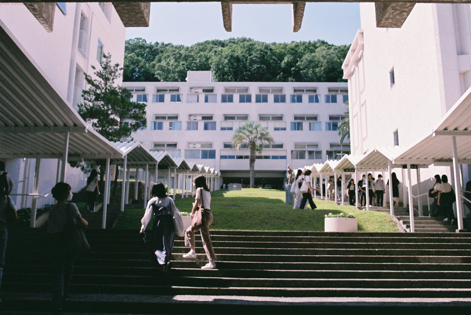 【2026年最新ルポ】伝統と革新の狭間で躍動する「甲南女子大学」——時代を切り拓く独自の教育モデルと高い就職力の真相