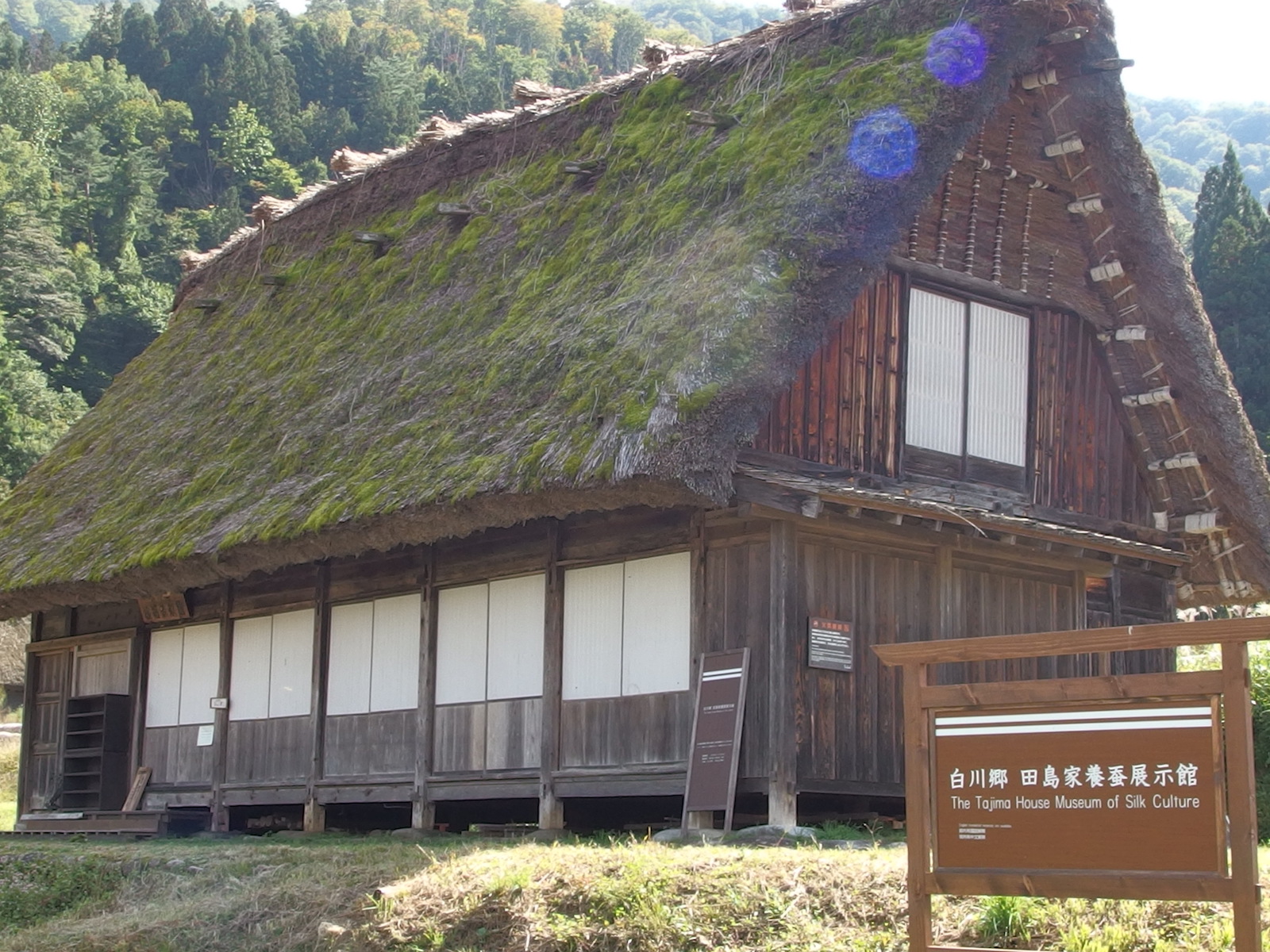 世界遺産を紡ぐ田島家養蚕展示館の知られざる魅力と見学の極意