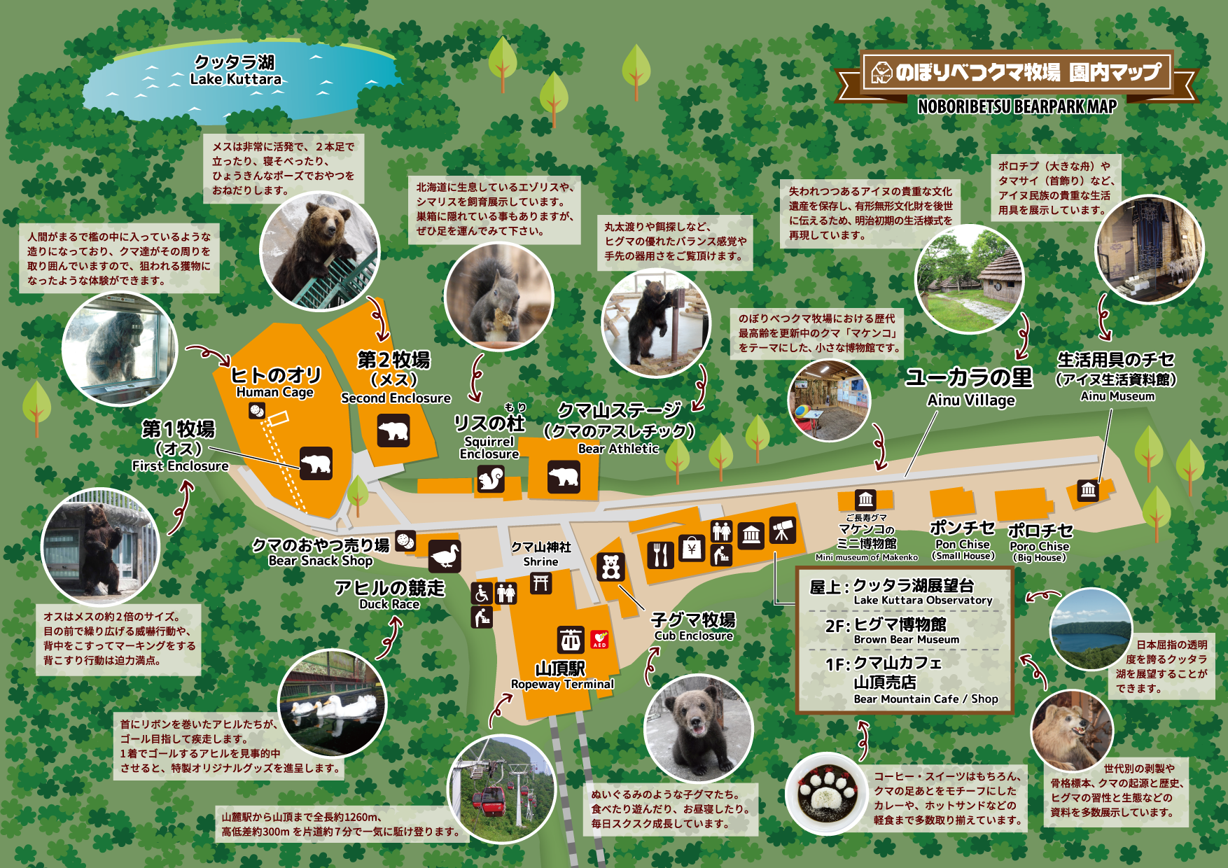 のぼりべつクマ牧場の評判を徹底検証！人の檻と割引クーポン最新事情2026
