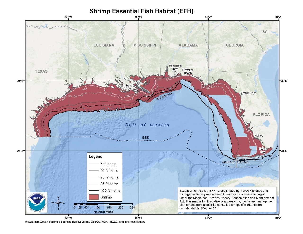 Where Are Shrimp Found