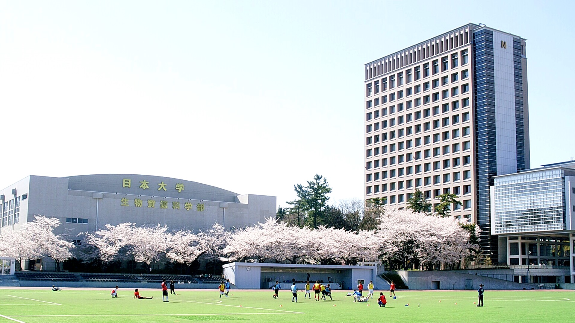 房総の駅とみうら独占取材！最新海鮮グルメと穴場ルート徹底解剖
