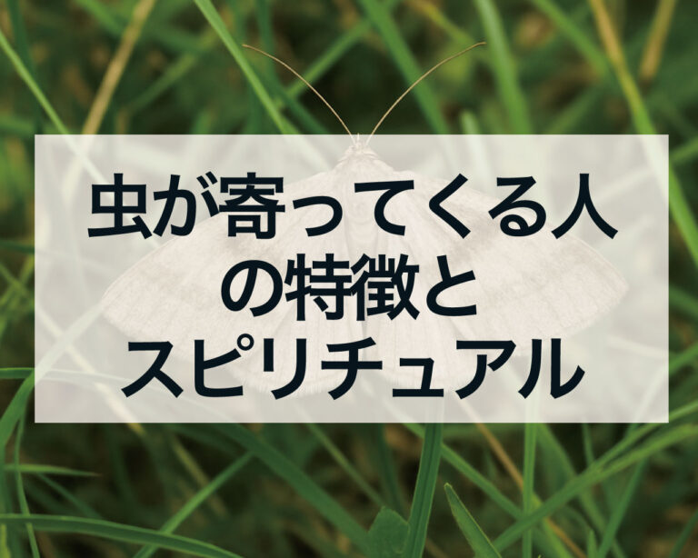 【必見】 虫 が 寄っ て くる 人 徹底解説＆真相まとめ #783