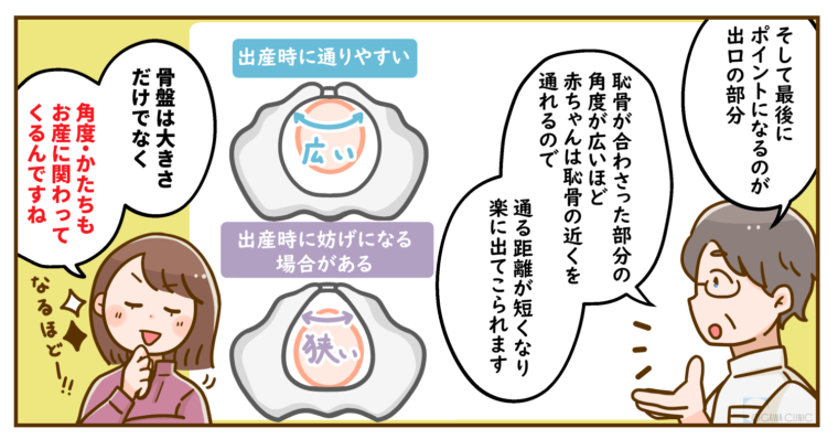 安産型の尻に隠された医学の真実！骨盤神話と美の最前線を追う