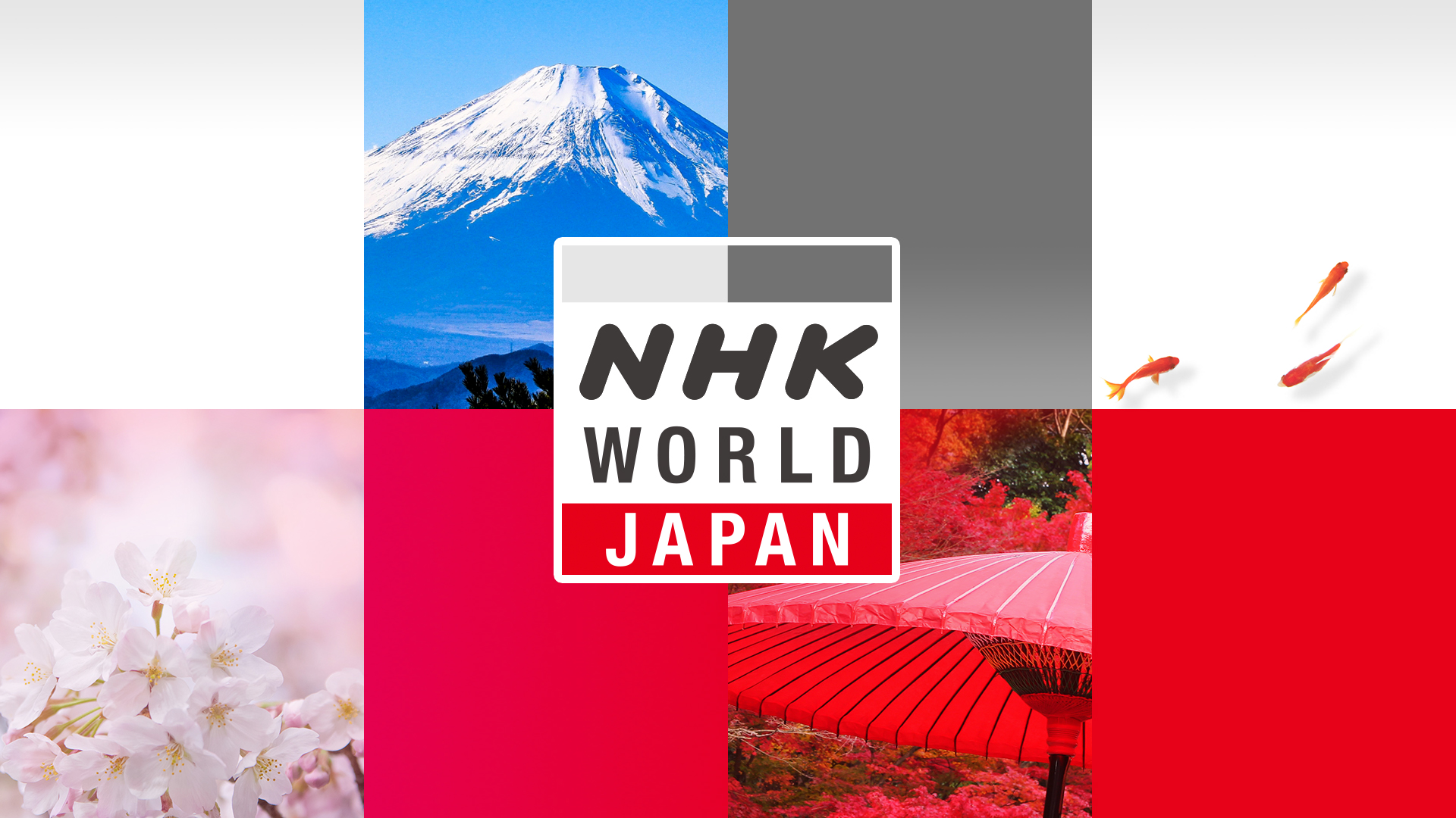 Nhkふれあいセンターに繋がらない？電話番号と混雑回避の裏ワザ