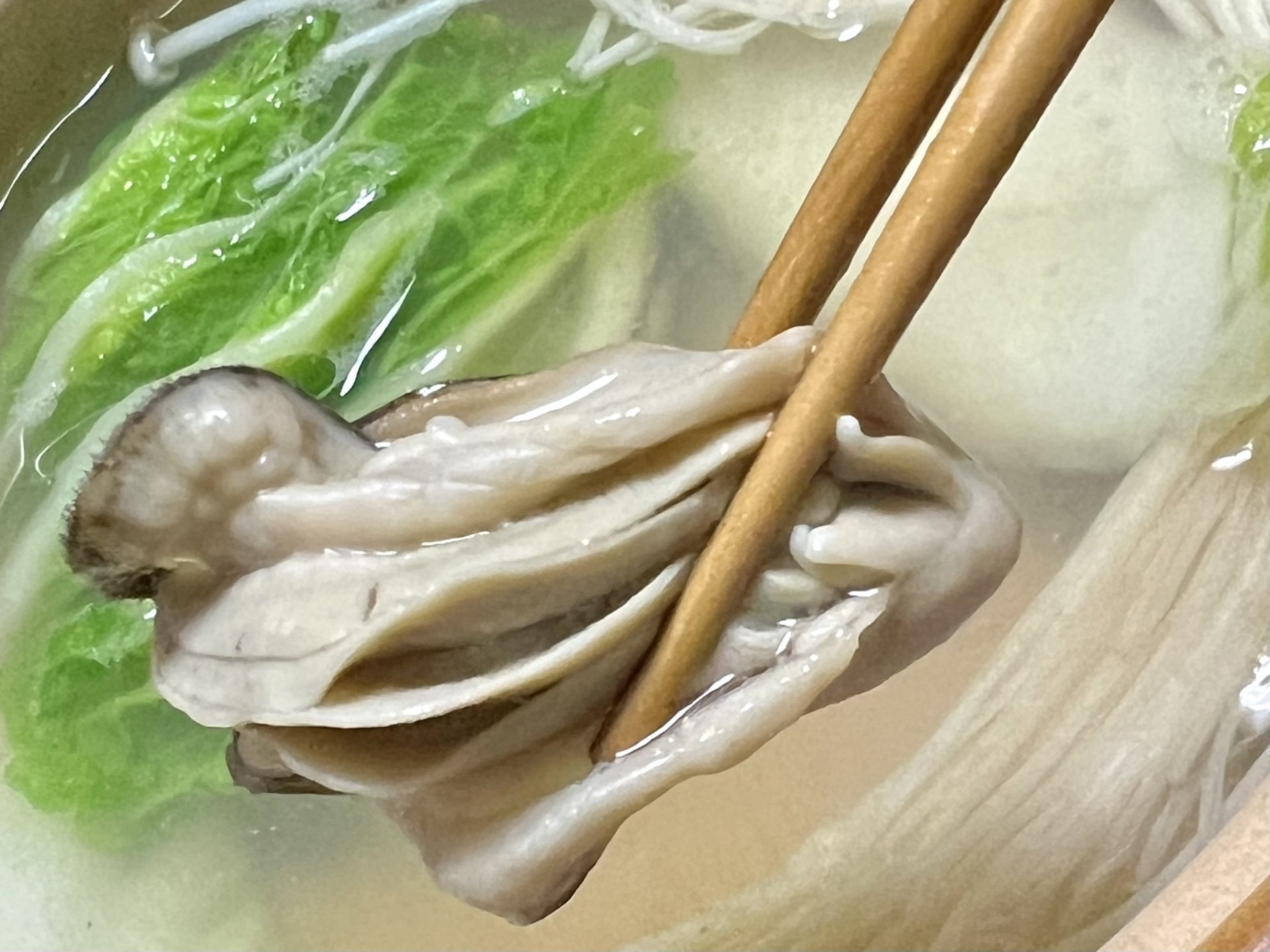 加熱した牡蠣鍋でもあたる？食中毒の真相と安全な加熱時間を徹底解説