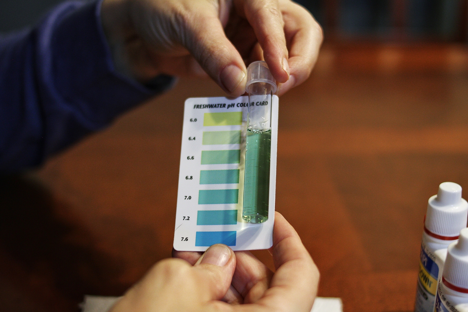 How to Test Ph Level