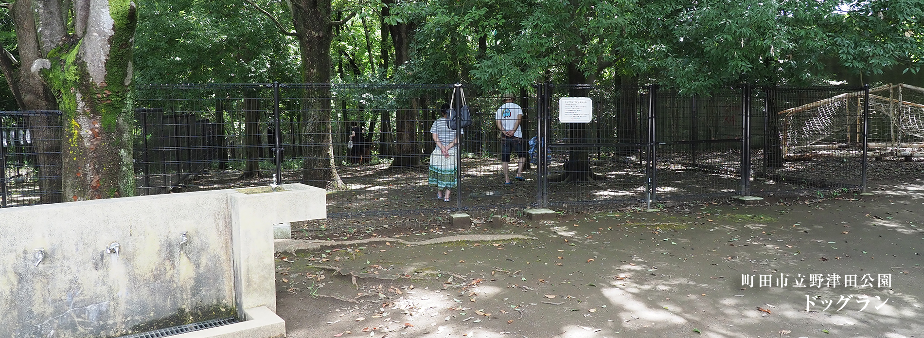 野津田公園にドッグランはある？愛犬と楽しむ散歩ルールと周辺施設