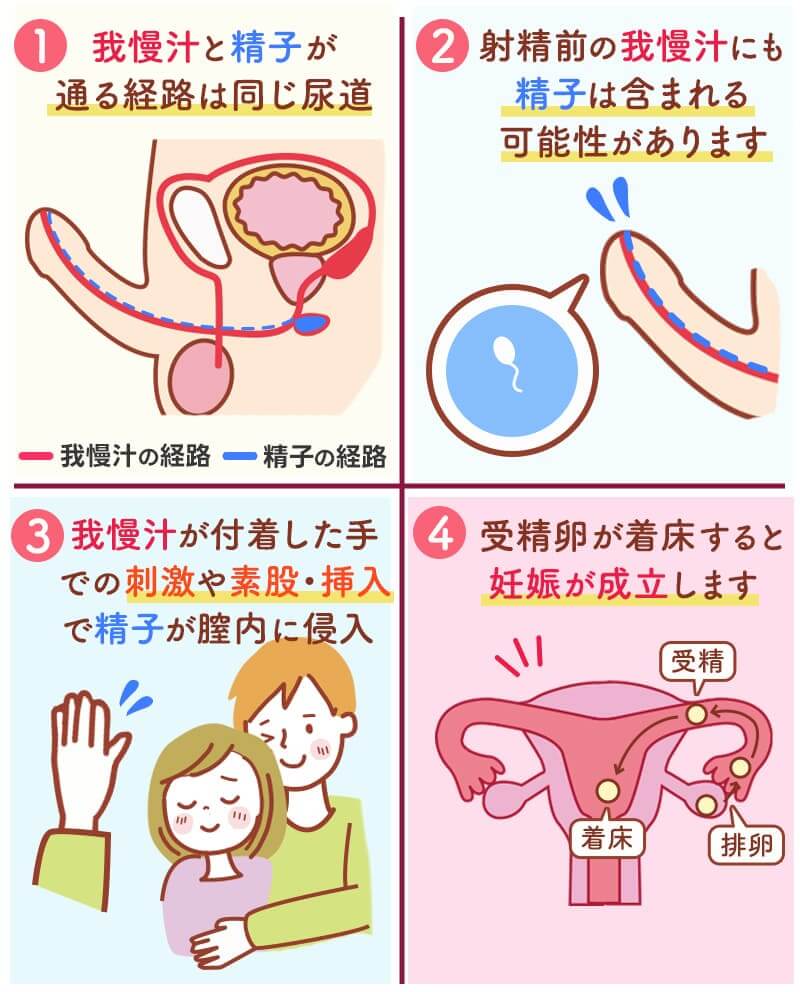 我慢汁とは？少量でも妊娠する確率や精子の有無・避妊の真実を専門解説