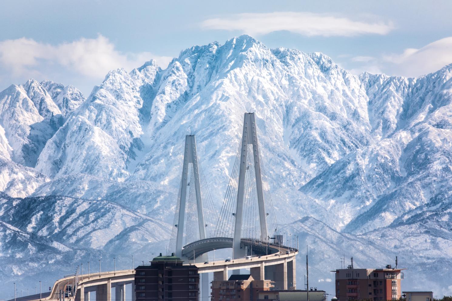 漆黒スープの秘密とは？富山ブラックの中毒性と元祖・大喜の真実