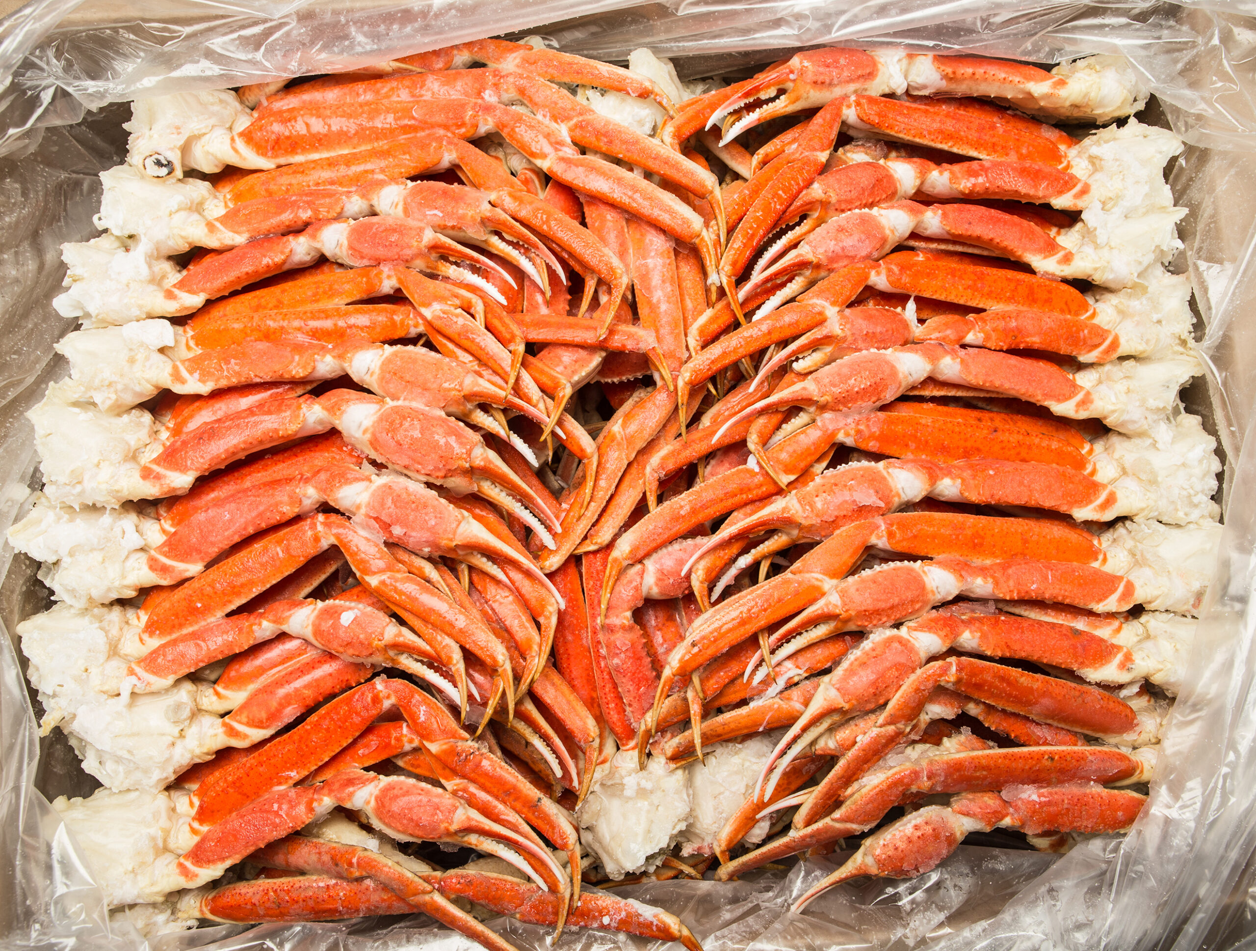 How Much Does a Snow Crab Cluster Weigh