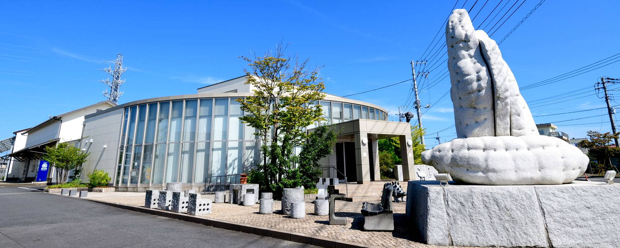 【2026年最新】熱気みなぎる東金アリーナの「今」を追う！スポーツ・防災・地域経済を拓く千葉の未来型拠点