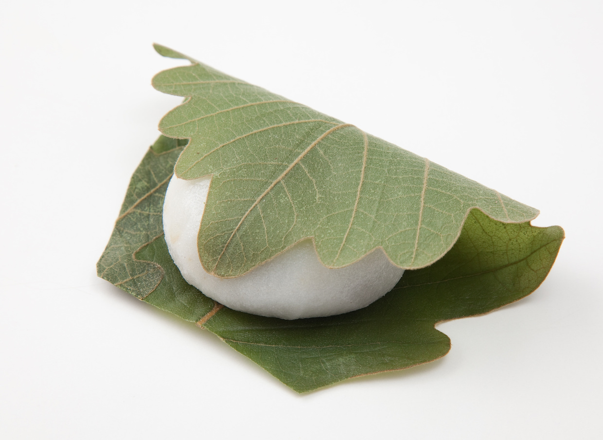 柏餅の葉っぱは食べられる？桜餅との違いや誤食の害・真相を徹底解説