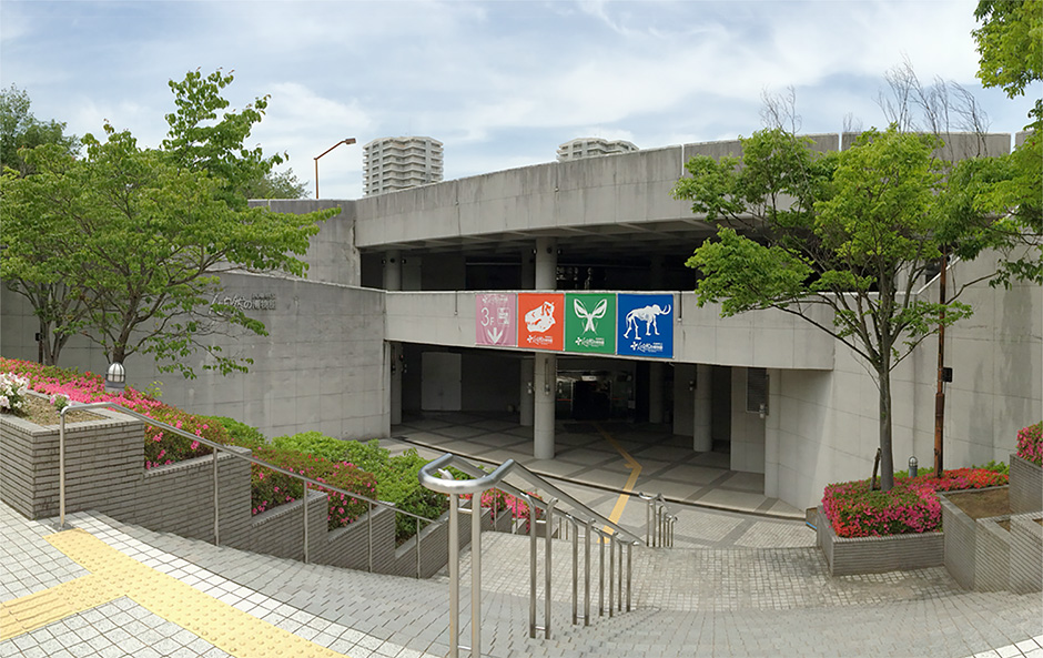 福江空港から始める五島列島旅！混雑回避と隠れた名所の最新ガイド