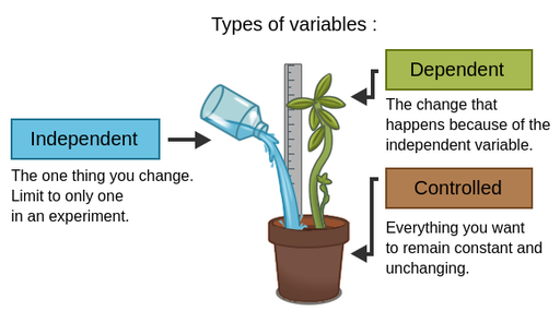 Dependent and Independent Variables in Experiments