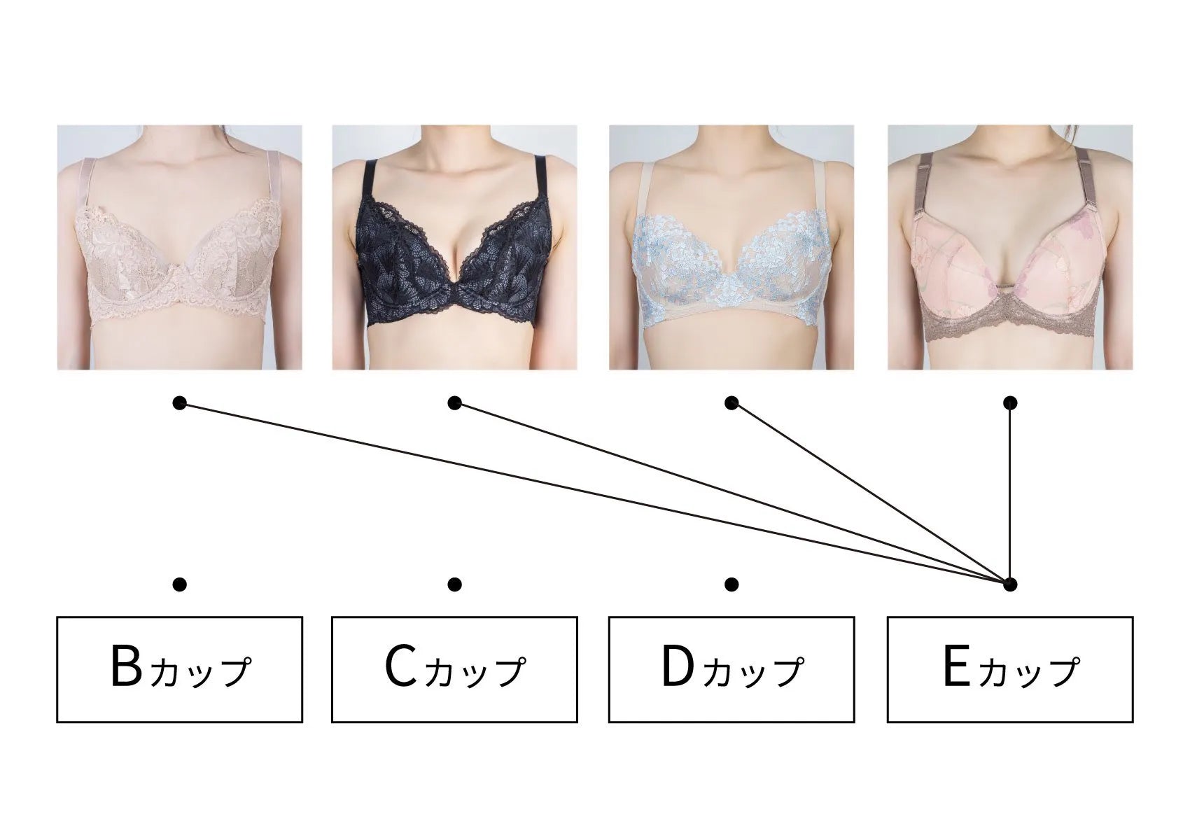 Fカップの実際の見た目と重さは？サイズ感や割合の真実を徹底解剖