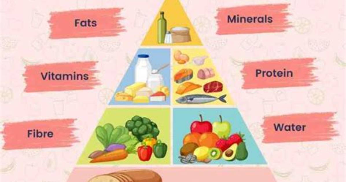 Balanced Diet