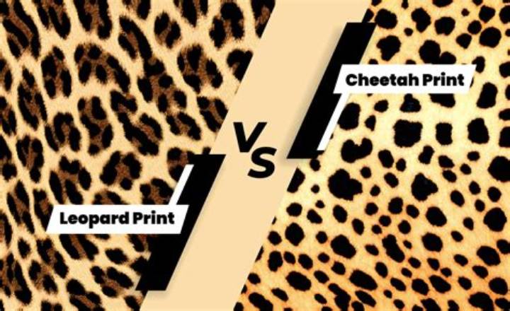 Cheetah vs Leopard Print: What’s Different, What to Look For, and Why