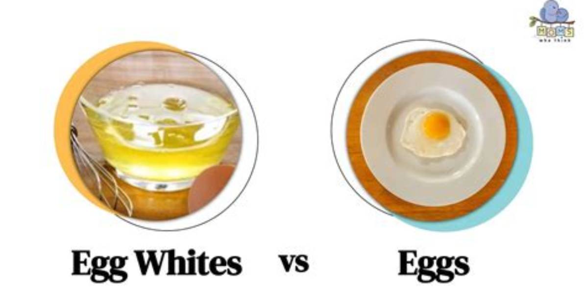 Difference Between Egg