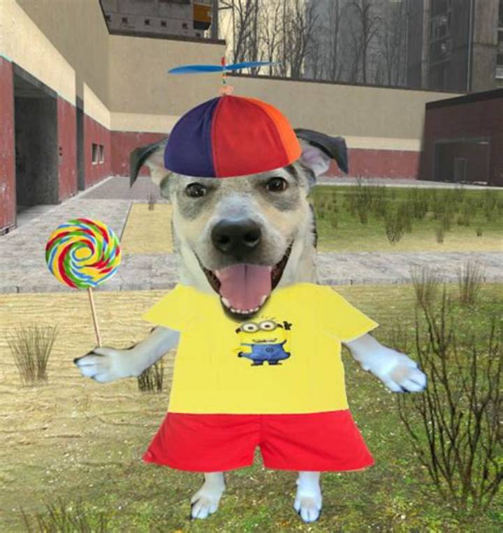 Dog with Propeller Hat: Why It’s Going Viral—and What It Means