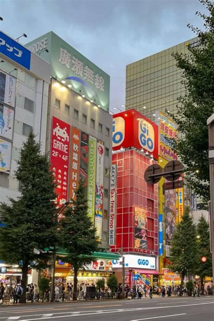 Https: //Www. Adelakun. Org/Akihabara/9393069/