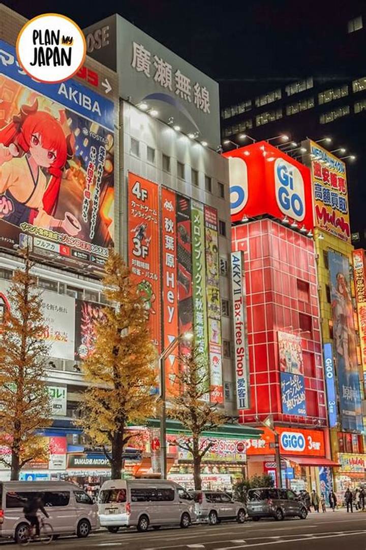 Https: //Www. Adelakun. Org/Akihabara/8772192/