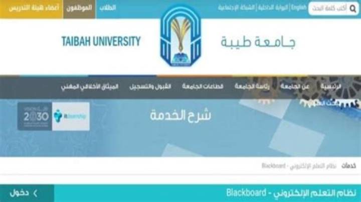 جامعة طيبة البلاك بورد: دليل دخول المنصة وحل أبرز المشاكل